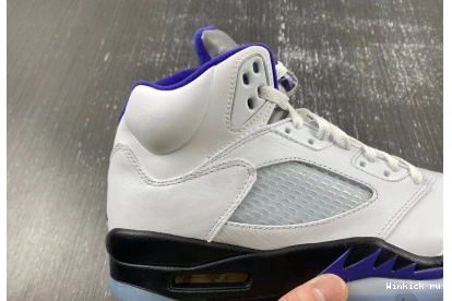 Jordan Dark Concord Retro 5 1013